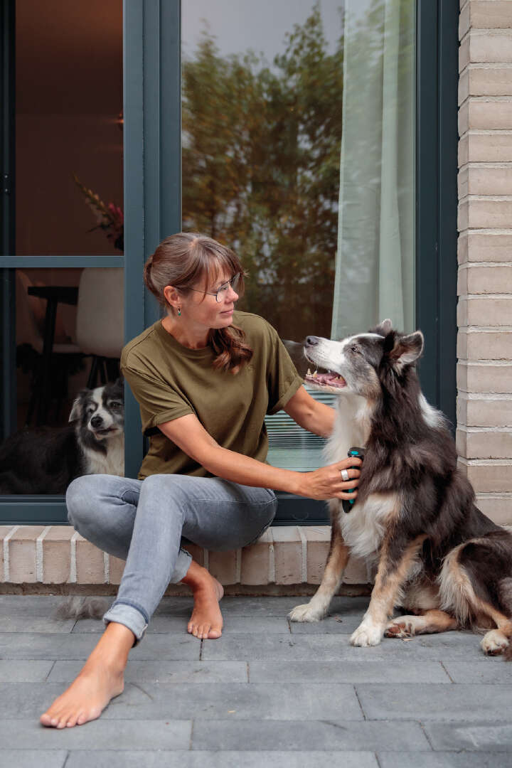 TRIXIE Carding-Striegel